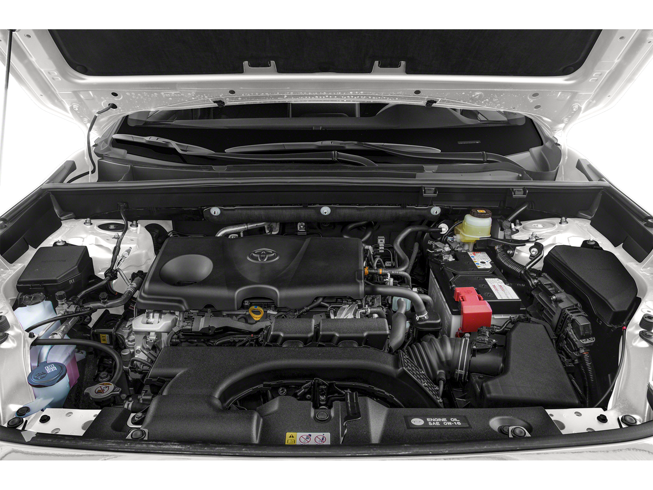 2019 Toyota RAV4 LE AWD